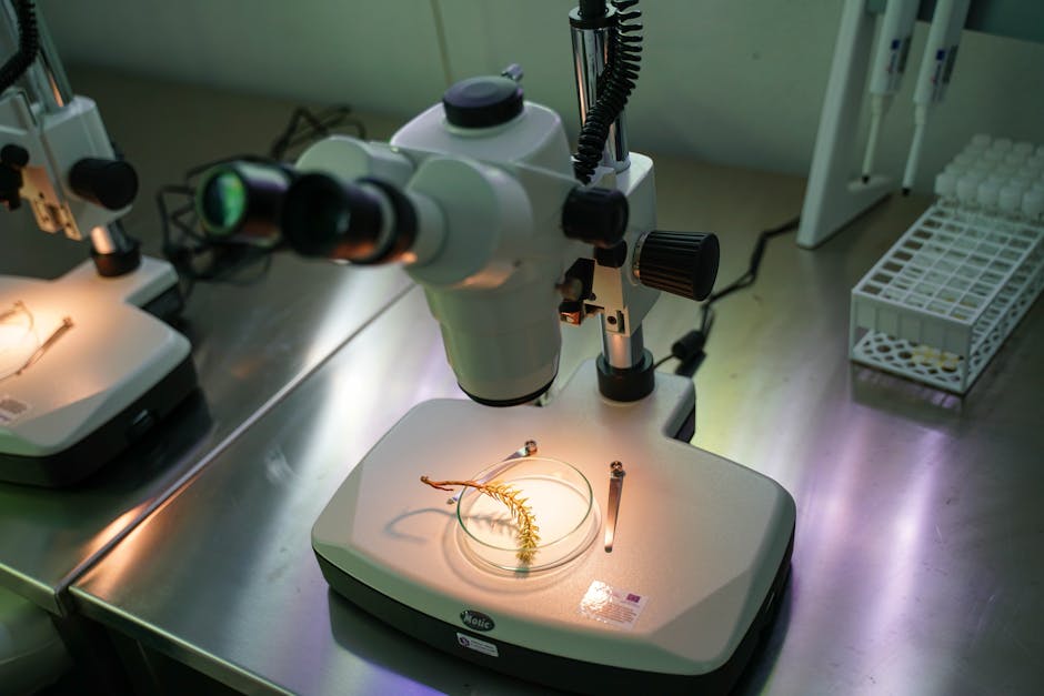 Microscopes with biological samples in a laboratory setting, showcasing science in action.