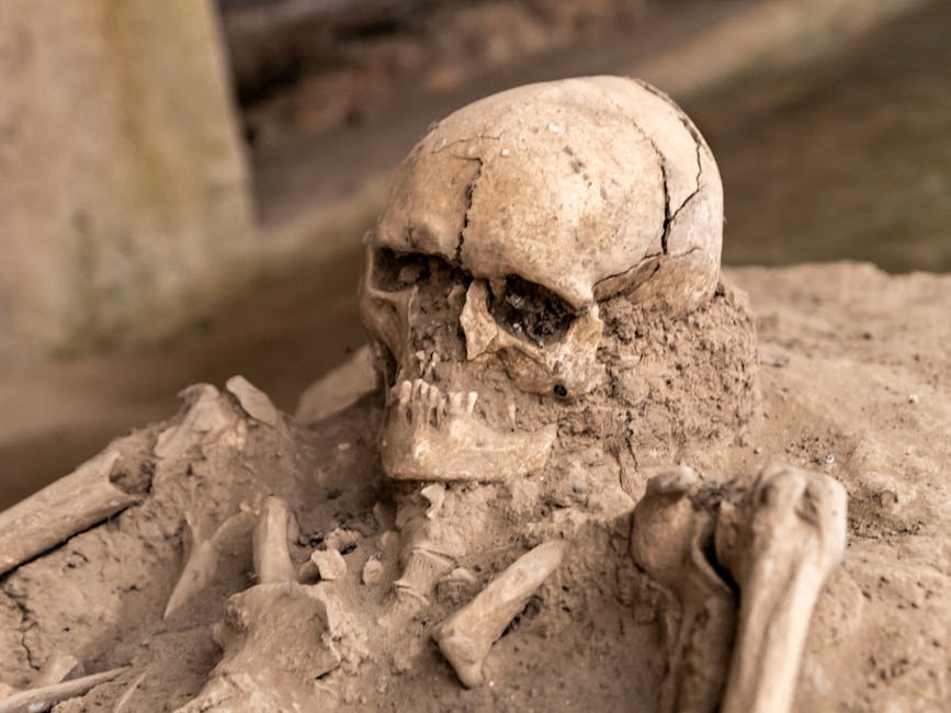 Close-up of an ancient Roman skeleton excavation site at Viminacium, Serbia.