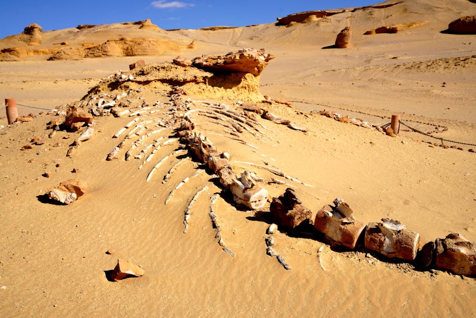 Discover an ancient whale fossil unearthed in Egypt's desolate desert, showcasing prehistoric wonders.