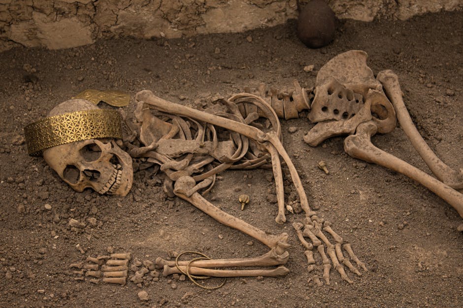 Unearthed skeleton with golden crown discovered in Çorum, Türkiye, showcasing rich ancient history.