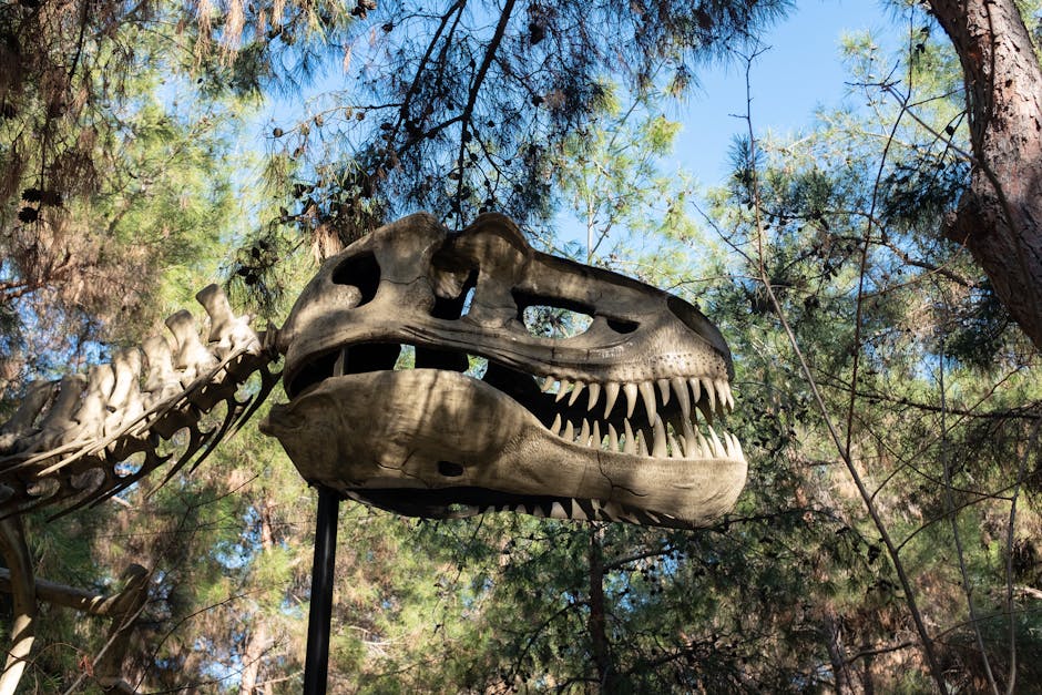 A dinosaur skeleton amidst trees, capturing a prehistoric ambiance in Antalya's forests.
